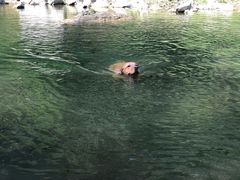 -白河湾生态旅游一条川