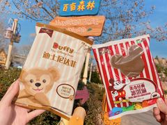 -上海迪士尼度假区