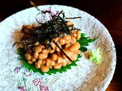 -松子日式料理(东朝阳路店)