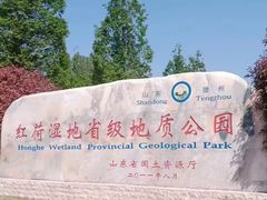 -滕州微山湖红荷湿地景区