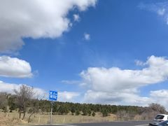 -御道口草原森林风景区