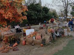 -HERRE·FARM 赫尔露营农场·团建聚会包场