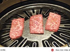 -炼火烤肉店