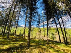 -硗碛藏寨·神木垒景区