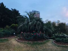 -人民公园(罗湖区)