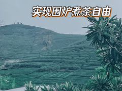 -龙坞茶村