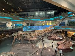 -安徽省地质博物馆