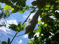 -唯一小店家常菜·兄弟餐厅