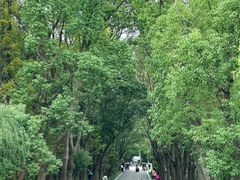 -同里国家湿地公园