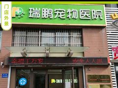 -瑞鹏宠物医院•异宠•宠保定点•流浪定点救助宠物医院(青祁店)