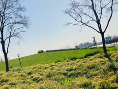 -上海山野camping·户外天幕烧烤·团建拓展营地