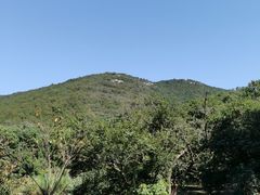 -宝岩生态观光园