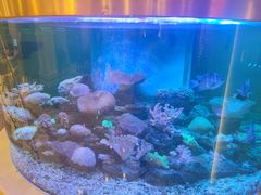 -碧中海汤泉汗蒸酒店