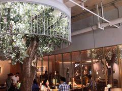 -大树餐厅(红旗街万达店)