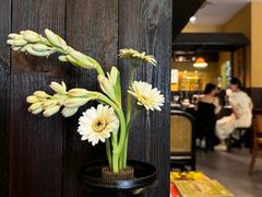 -灶咖KITCHEN