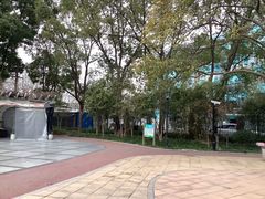 -白玉兰食品(甜云店)
