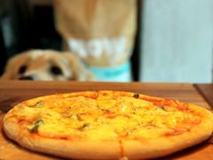 -百好乐宠物友好餐厅(朝外大街店)