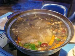 鲜人参锅底-千岛蚝高压锅生蚝·人参火锅(白云万达店)