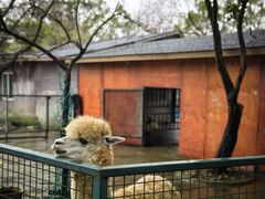 -宁波野生动物园