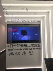 -蚂蚁造型俱乐部