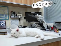 -康乐宝动物医院