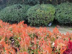 -证大大拇指广场(芳甸路店)