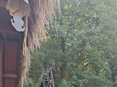 -终南山南五台景区