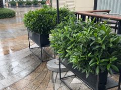 -星巴克臻选(深圳海上世界店)