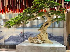 -青水瓦台汤泉(未央店)