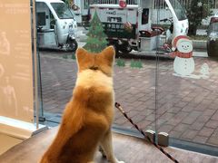 -YCHL Studios健身工作室(市二宫店)