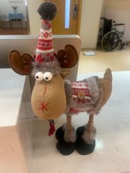 -鄞州妇女儿童医院·明州产后护理中心