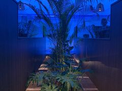 -大头椰·椰子鸡火锅(南宁万象城店)