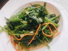 -前海沿·青岛菜(大拇指广场石老人店)