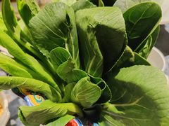 -百草滩羊清水涮羊肉·清真·宁夏盐池滩羊(莲花桥店)