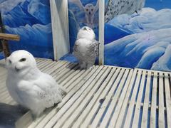 -成都浩海立方海洋公园