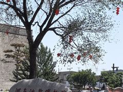 -河东池盐文化博览园