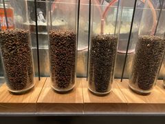 -喜茶(深圳海岸城店)