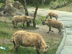 -北京野生动物园