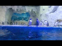 -华夏文旅海洋公园