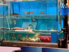 -鲜入围煮花胶鸡海鲜火锅