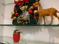 -瑞尔齿科(上海长风大悦城店)