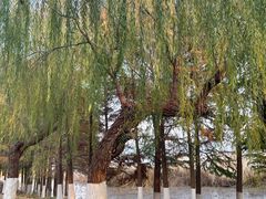 -云龙湖旅游景区