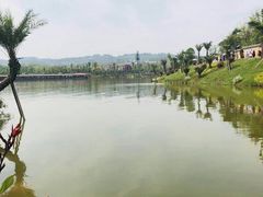 -枫香湖儿童公园