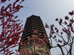-玲珑塔公园