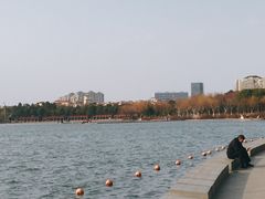 -暨阳湖生态园