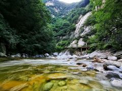 -朱雀国家森林公园