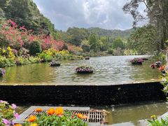 -深圳仙湖植物园