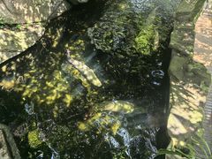 -青青世界