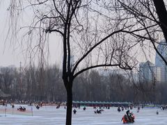 -西宁市人民公园(城西区)