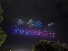 -荷兰花海
